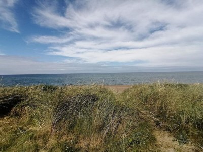 Holiday house 4 person holiday home in Frøstrup - Outdoor photo 18