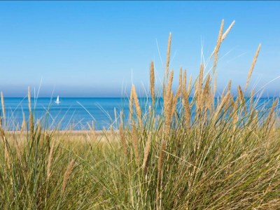 Holiday house Zilt aan Zee III - Environment photo 21