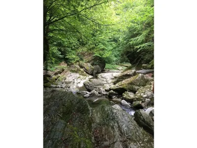 Holiday room Ferienwohnung Raabklamm - Outdoor photo 10