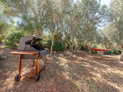 Villa Finca Can Bernadi - Outdoor photo 14