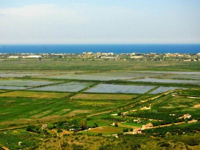 Villa Serene Retreat in El Ràfol - Environment photo 23
