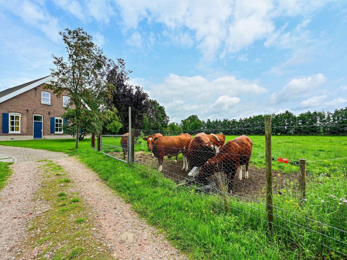 Farmhouse Cozy Countryside Getaway - Outdoor photo 4