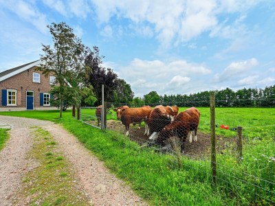 Farmhouse Cozy Countryside Getaway - Outdoor photo 4