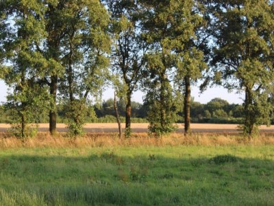 Farmhouse Cozy Countryside Getaway - Environment photo 26