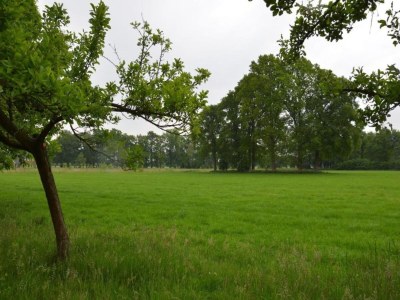 Farmhouse Cozy Countryside Getaway - Environment photo 30
