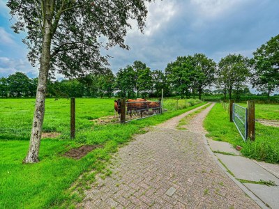 Farmhouse Cozy Countryside Getaway - Environment photo 34