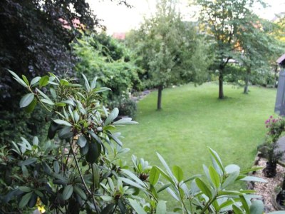 Holiday park Holiday Home in Bad Bentheim near Dutch Border - Environment photo 11