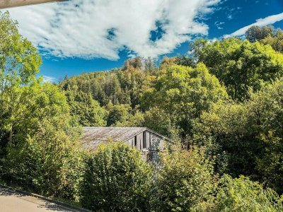 Holiday house Ferienhaus in Willingen nahe Skigebiet - Environment photo 38