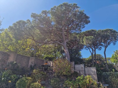 Villa Mont Cabasse - Outdoor photo 10
