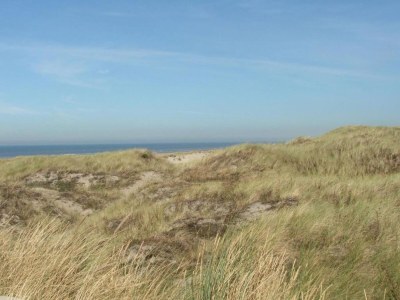 Holiday park Beach House in Wijk aan Zee with Sea Views - Environment photo 13