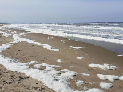 Holiday park Beach House in Wijk aan Zee with Sea Views - Environment photo 27