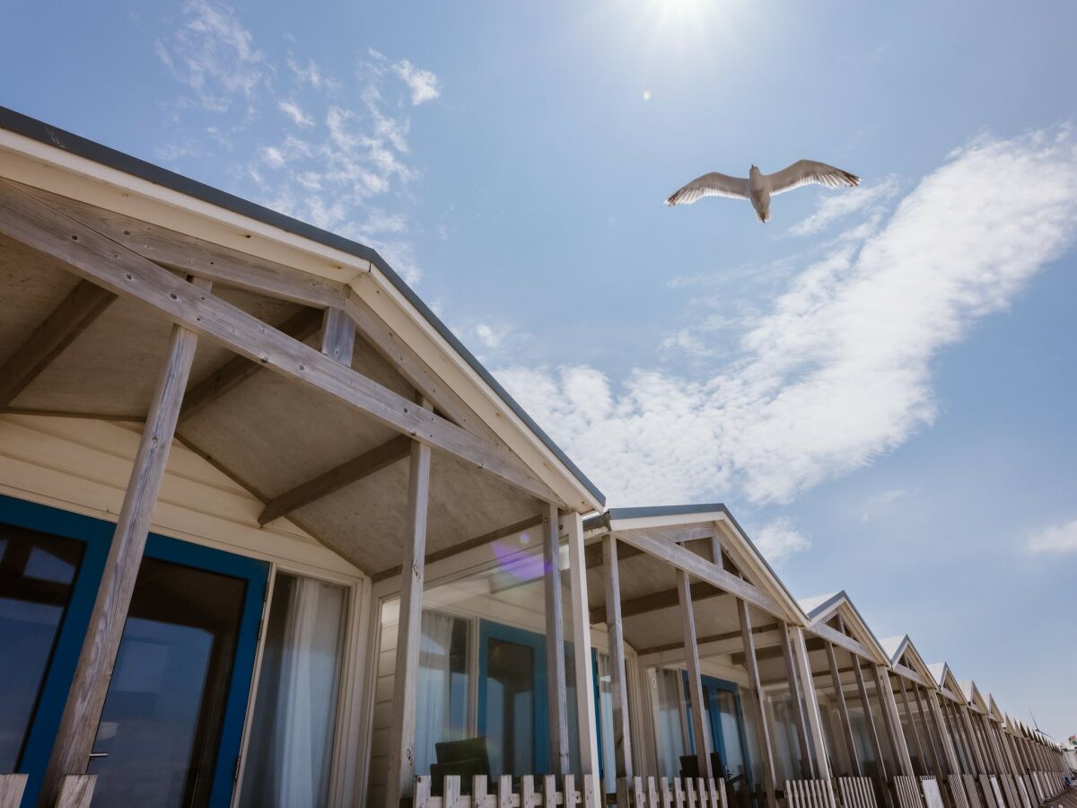 Holiday park Beach House in Wijk aan Zee with Sea View - Outdoor photo 3