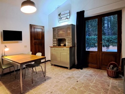 Holiday apartment Terrace in Seggiano - Holiday apartment
