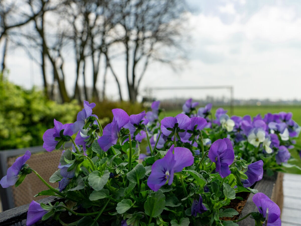 Holiday house Boerensuite 't Karschop - Outdoor photo 3