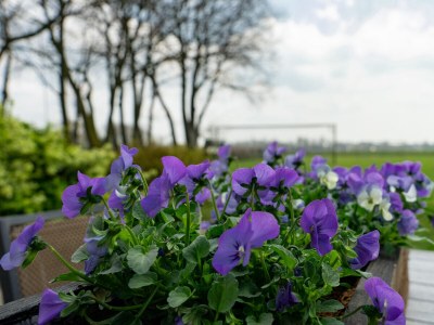 Holiday house Boerensuite 't Karschop - Outdoor photo 3