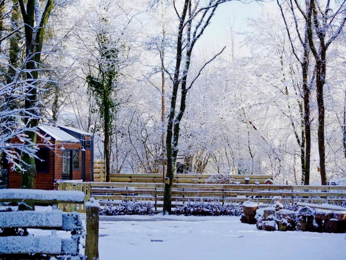 Holiday house Tiny House in Hoogersmilde mit Garten und Parkplatz - Outdoor photo 5