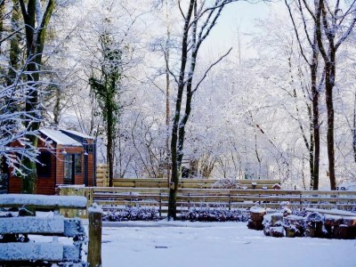 Holiday house Tiny House in Hoogersmilde mit Garten und Parkplatz - Outdoor photo 5