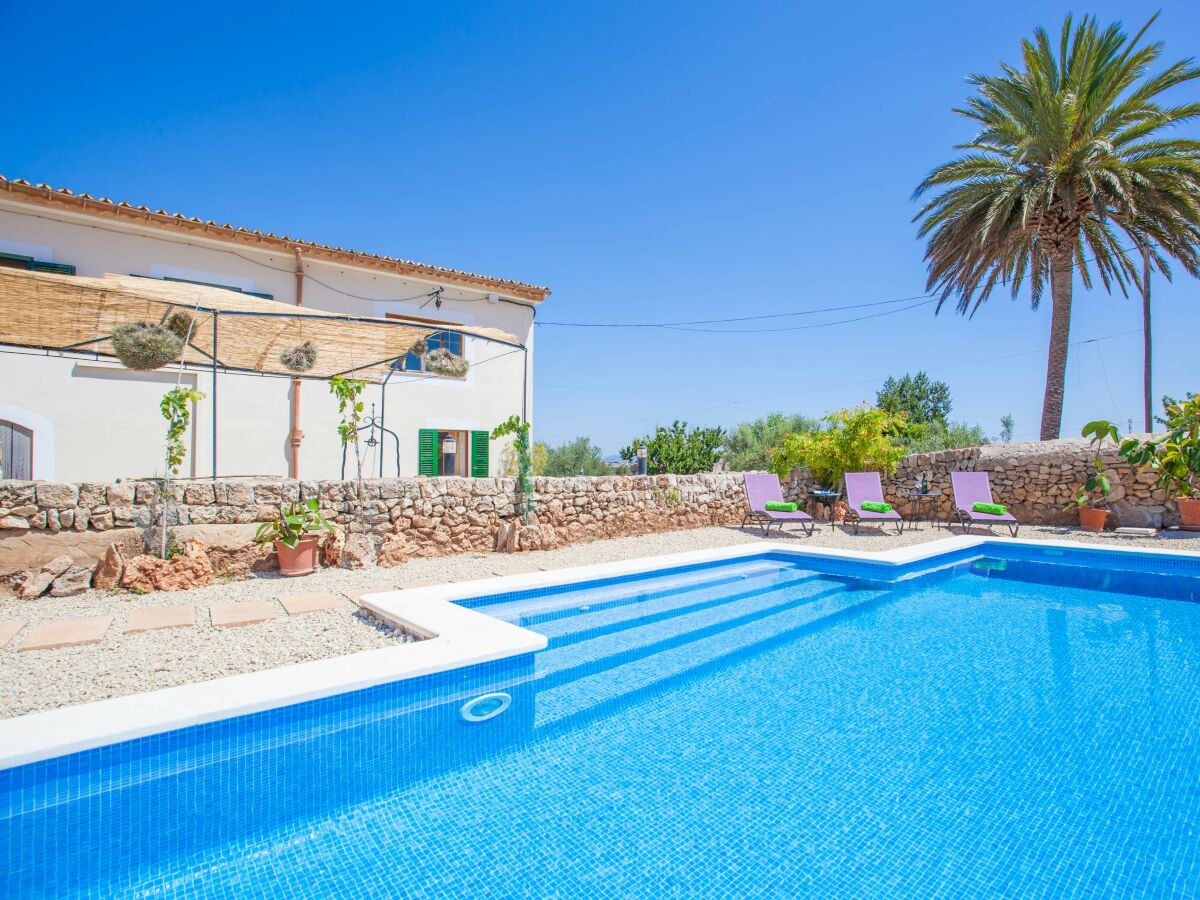 Finca SA VINYOTA