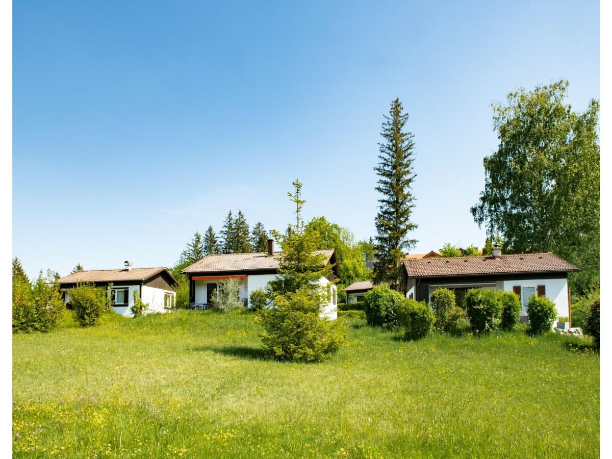 Holiday house Komfort mit Gartencharme - Outdoor photo 4