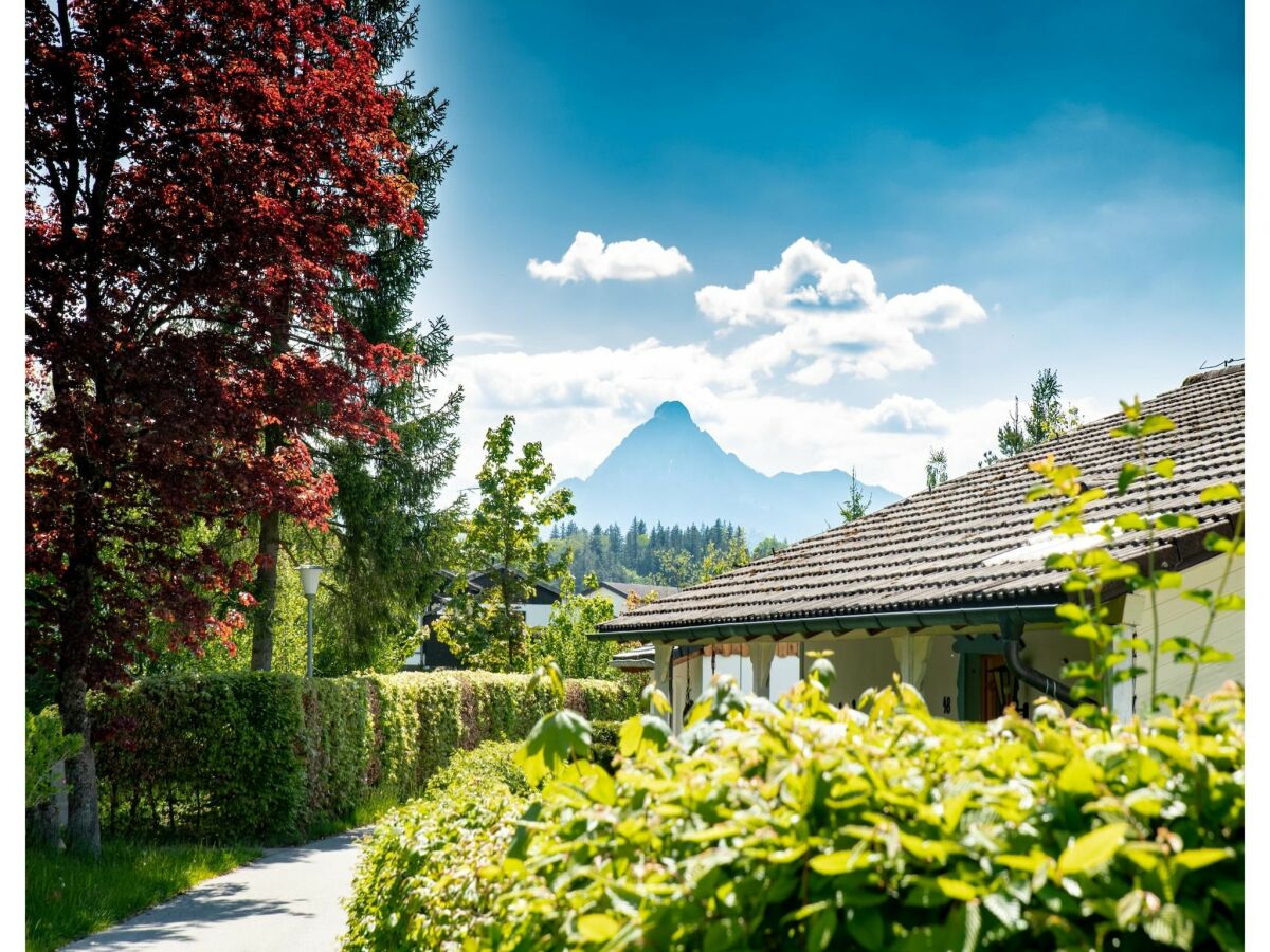 Holiday house Komfort mit Gartencharme - Outdoor photo 5