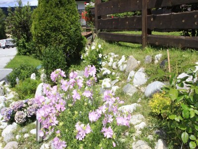 Apartment Landhaus in Seefeld nahe Skigebiet - Outdoor photo 10