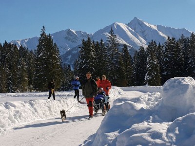 Apartment Landhaus in Seefeld nahe Skigebiet - Environment photo 27