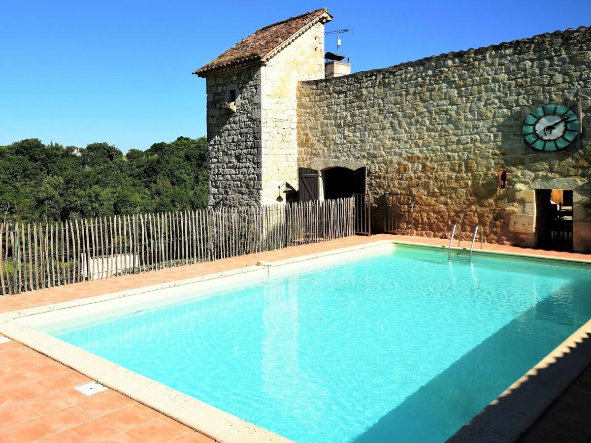 Castle Castle near Agen with Shared Pool