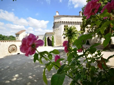 Castle Castle near Agen with Shared Pool - Outdoor photo 39