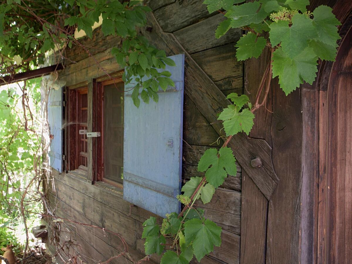 Holiday house Ferienhaus Vogtshof 1 - Outdoor photo 4
