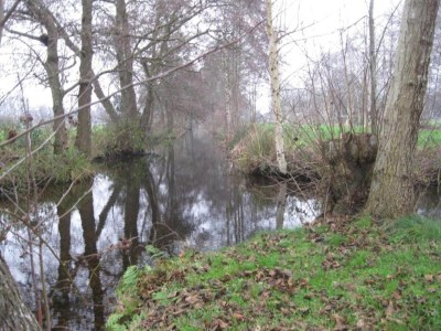 Holiday house Canal-Side Stay, Giethoorn - Environment photo 27