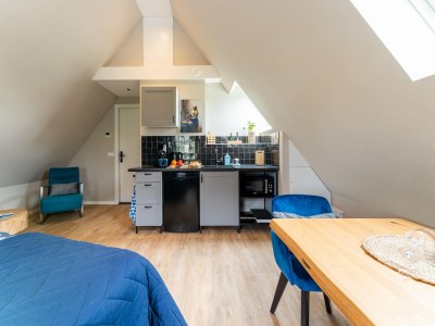 Holiday house Romantisches Studio in Stellendam mit Terrasse - Features photo 12