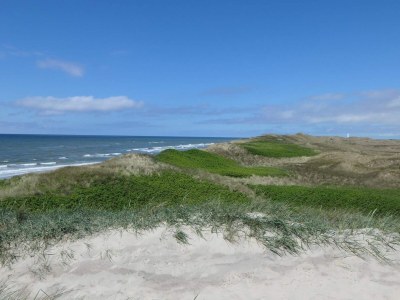 Apartment 6 person holiday home in Ringkøbing-By Traum - Outdoor photo 15