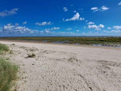 Holiday house 4 person holiday home in Fanø - Outdoor photo 23