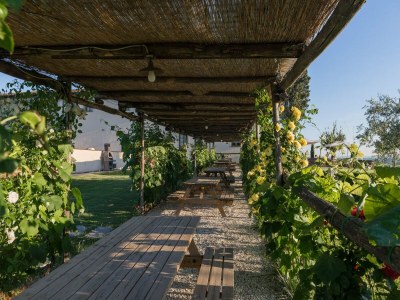 Holiday house Bauernhof mit eigenem Pool zwischen Kultur und Natur, zwischen Pisa und Florenz - Outdoor photo 3