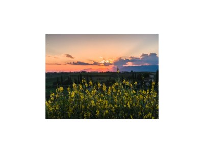 Holiday house Belvilla by OYO Leonardo - Outdoor photo 14
