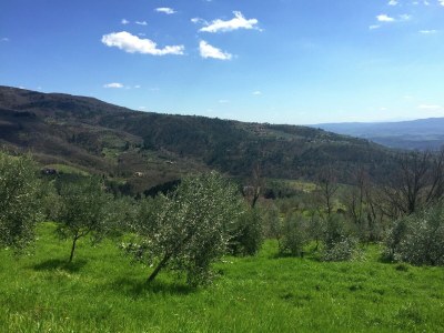 Holiday house Belvilla by OYO Cottage in PiandiscÃ² with Terrace - Environment photo 20