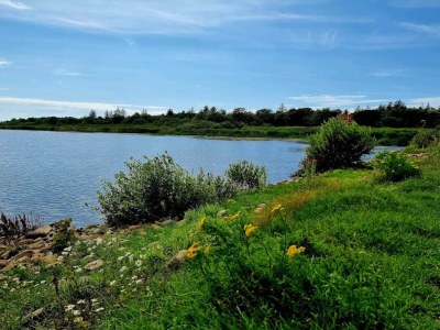 Holiday house 6 person holiday home in Henne - Outdoor photo 34