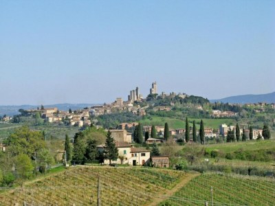 Farmhouse San Gimignano Hillside Haven - Environment photo 17