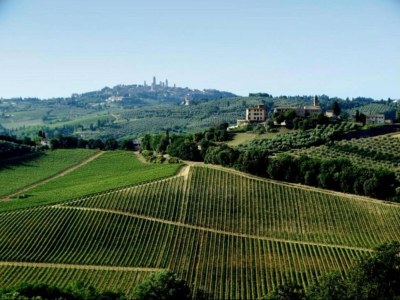 Farmhouse San Gimignano Hillside Haven - Environment photo 30