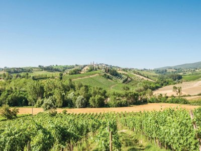 Farmhouse Tuscan Farmhouse with Pool - Outdoor photo 8