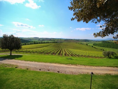 Farmhouse Farmhouse with pool in Montepulciano - Outdoor photo 13