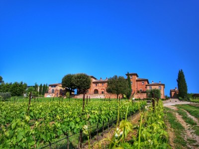 Farmhouse Idyllischer Bauernhof in 

 Montepulciano mit Pool - Outdoor photo 8