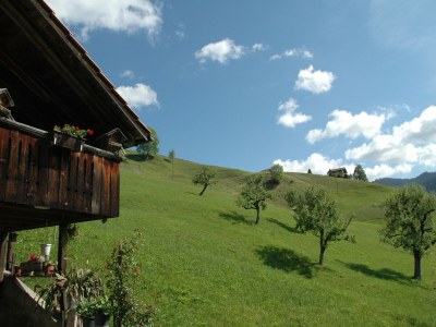 Farmhouse Ruhiger Bauernhof mit Parkplatz in Habkern - Outdoor photo 7