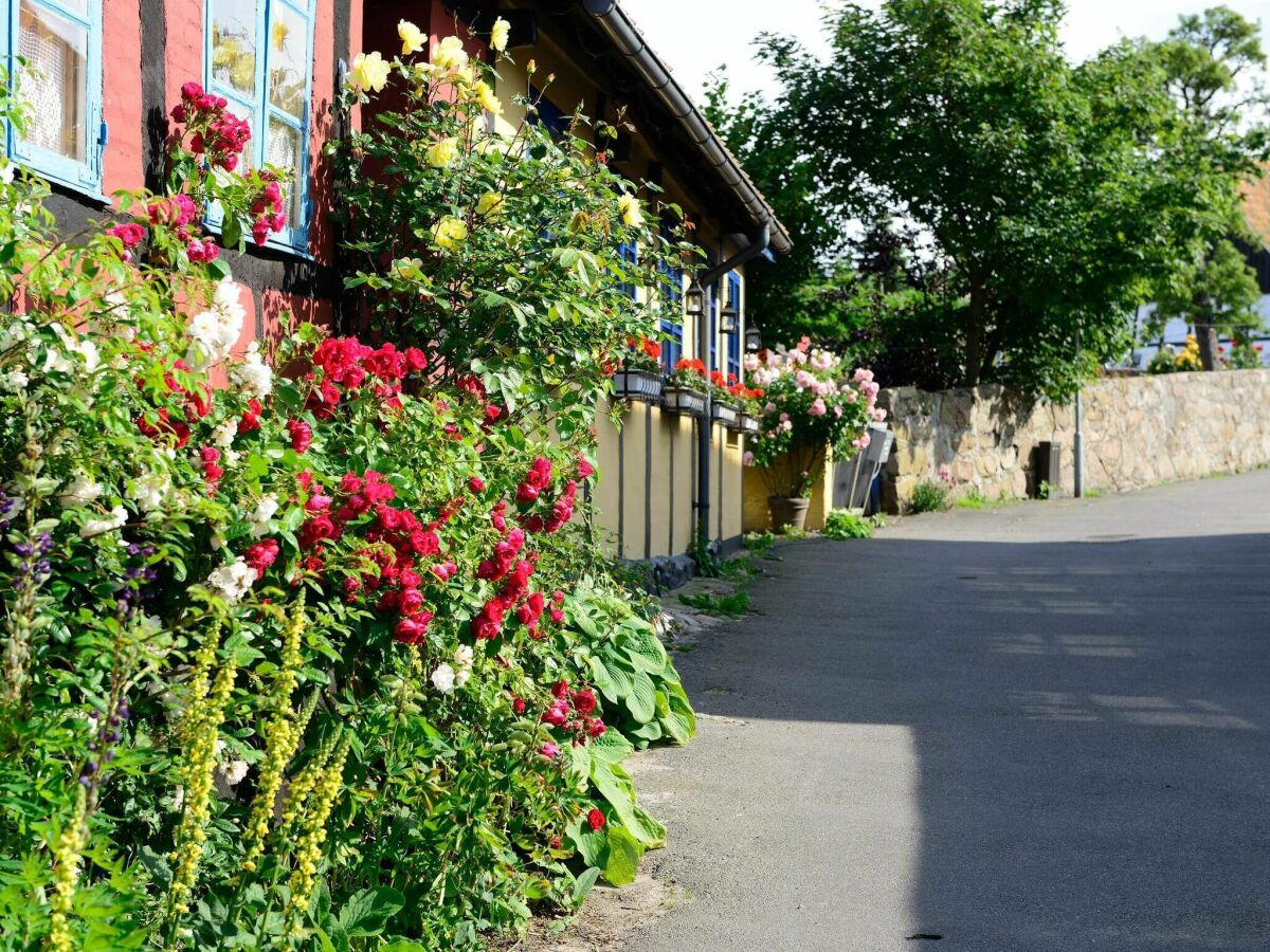 Holiday park 6 person holiday home in Allinge - Outdoor photo 4
