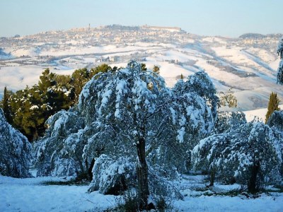 Holiday house Tuscan Charm Near Volterra - Outdoor photo 19