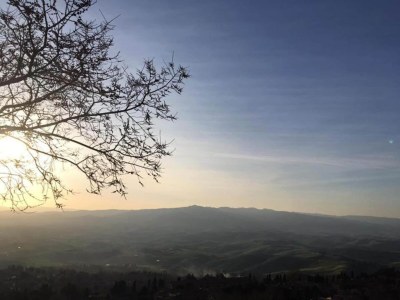 Holiday house Tuscan Charm Near Volterra - Environment photo 37