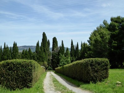 Holiday house Ferienhaus in Volterra mit Pool und Terrasse - Outdoor photo 15