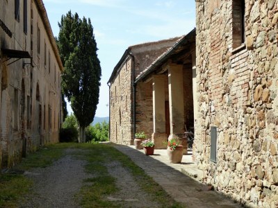 Holiday house Ferienhaus in Volterra mit Pool und Terrasse - Outdoor photo 16