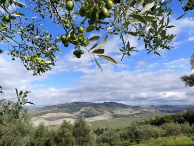 Holiday house Ferienhaus in Volterra mit Pool und Terrasse - Outdoor photo 18