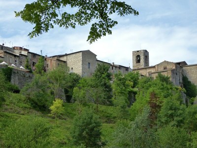 Holiday house Ferienhaus in Volterra mit Pool und Terrasse - Environment photo 30
